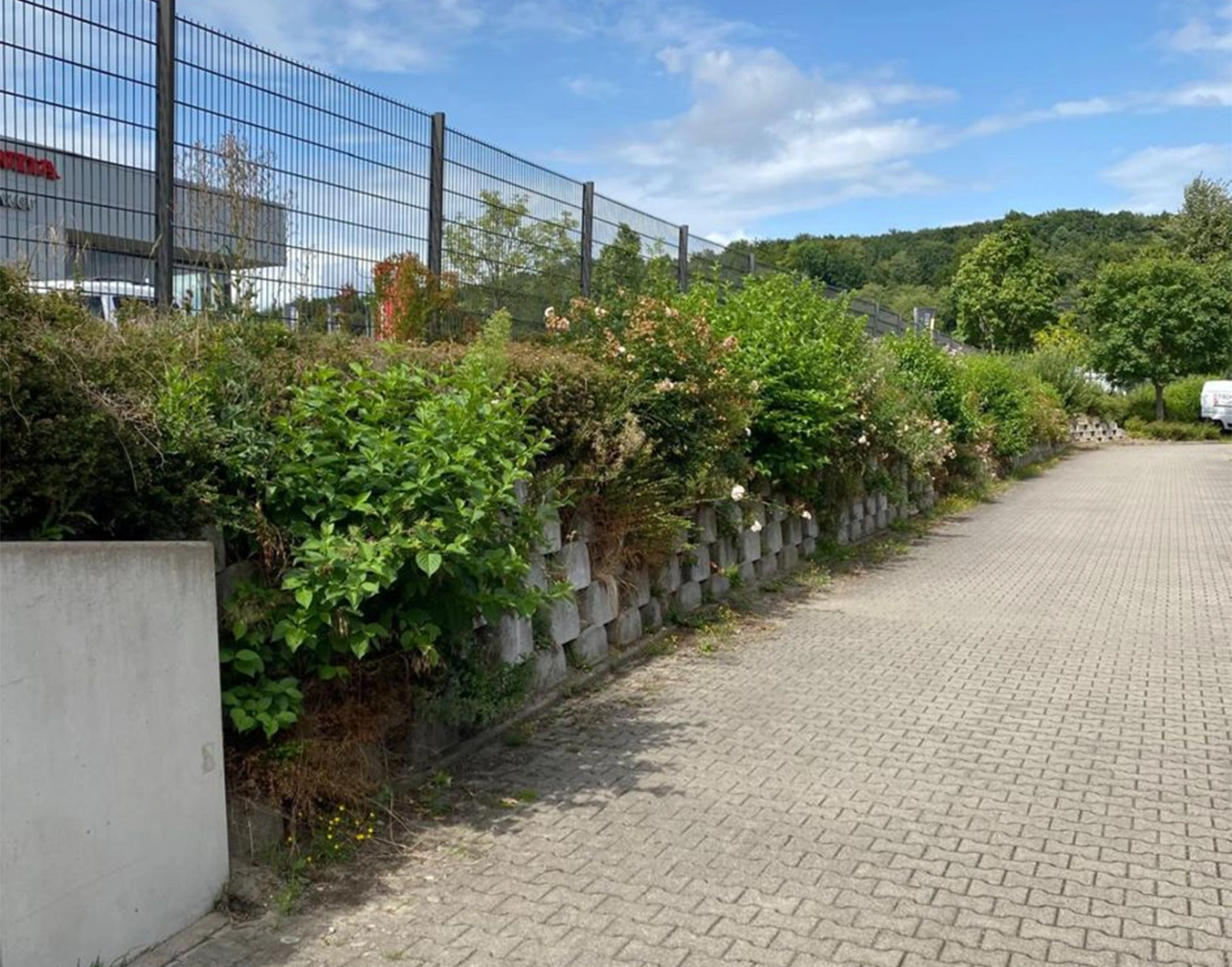 Allinone-Hausmeister-Osnabrück_Hecke