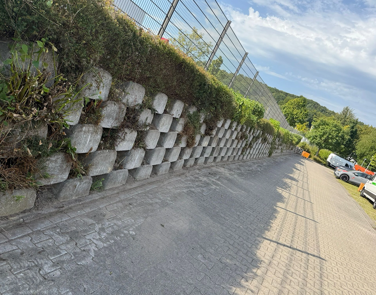 Allinone-Hausmeister-Osnabrück_Hecke2