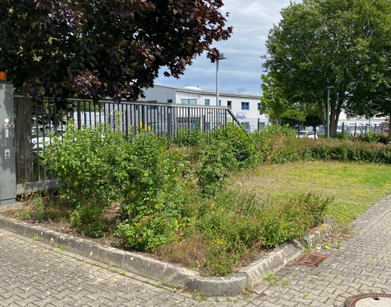 Allinone-Hausmeister-Osnabrück_Parkplatz4