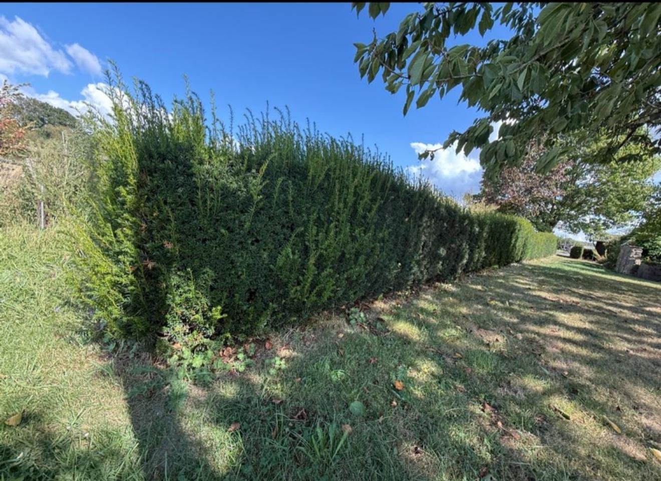 WhatsApp Image 2025-12-19 at 09.42.32